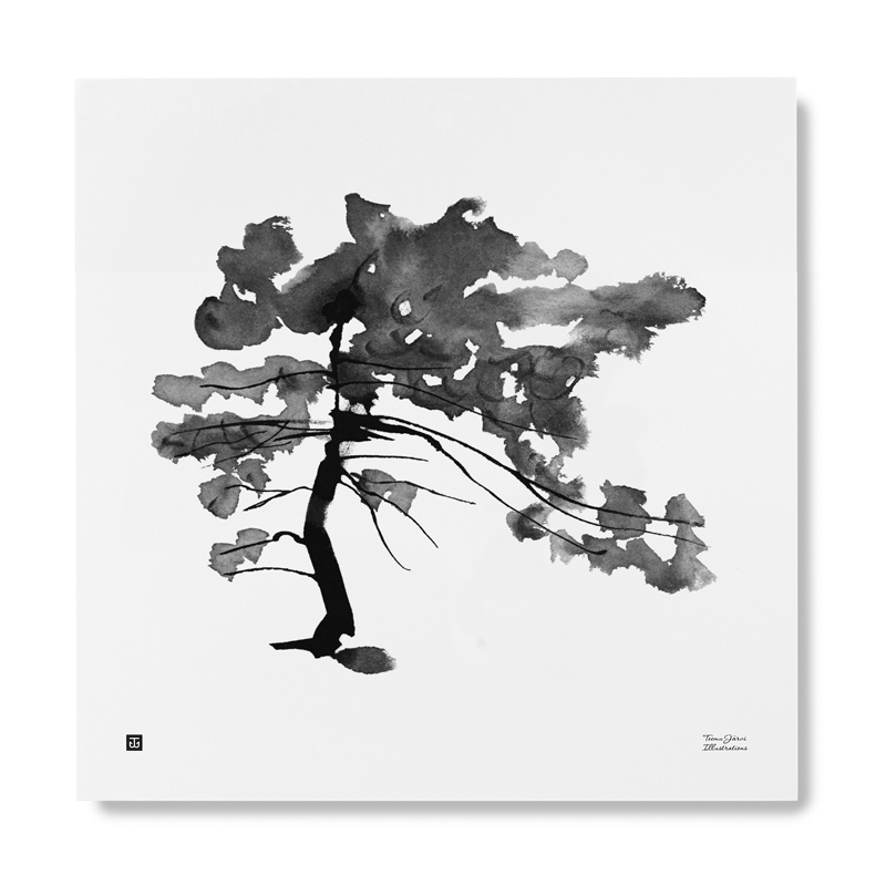 Plagát Pine Tree 50x50
