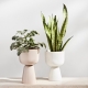 Nappula flower pot, tall / beige