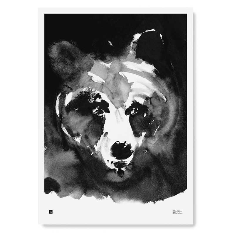 Poster Mysterious Bear 50x70