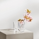Alvar Aalto vase 120mm, clear