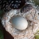Přírodní mýdlo vejce orla zláteho 85g, jehličnatý les