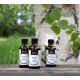 Sauna fragrance set Herbs 3x50ml