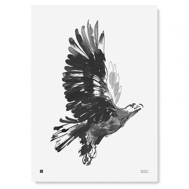 Plakát Eagle 50x70