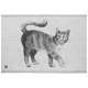 Kissa tea towel 46x70, gray-black