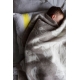 Wool blanket Kissanpäivät 130x180, beige-white
