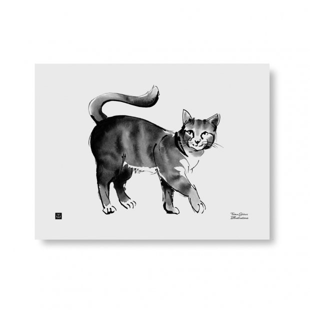 Plakát Cat 40x30