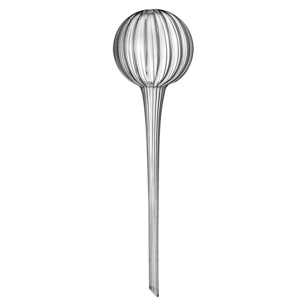 Watering flask for indoor plants 28cm, clear