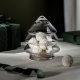 Glass jar tree 12cm