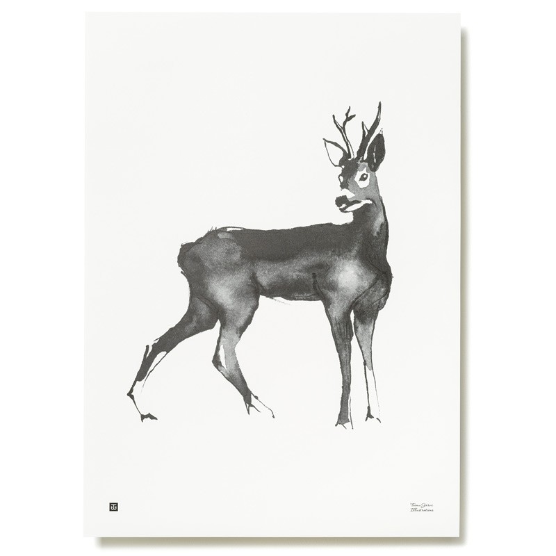 Plagát Roe Deer 50x70