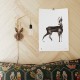 Poster Roe Deer 50x70
