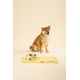 Podložka pod misky pro psy Moomin Pets 48x30cm, žlutá