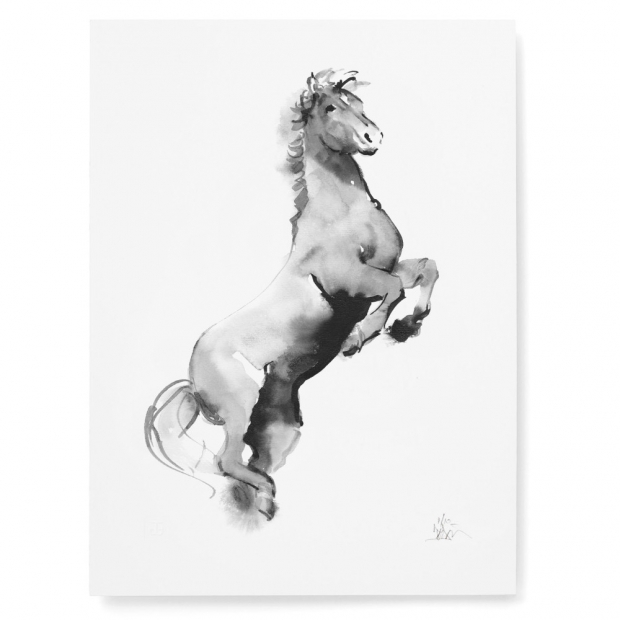 Poster Horse 30x40