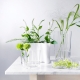 Alvar Aalto vase 120mm, clear