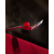 Citterio 98 Mirror cutlery, set of 24 pieces