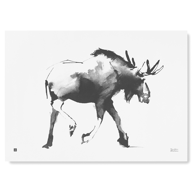 Plakát Elk 70x50