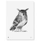 Plagát Eagle Owl 50x70