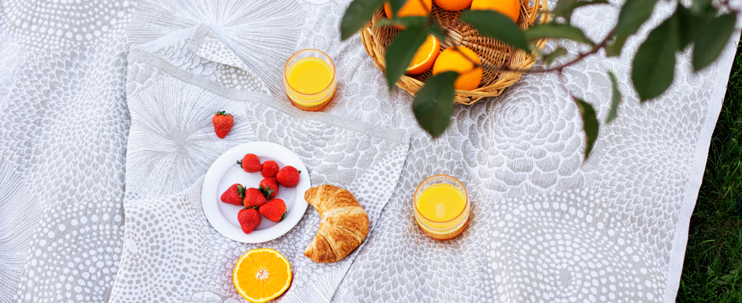 GRILOV&Aacute;N&Iacute; A PIKNIK